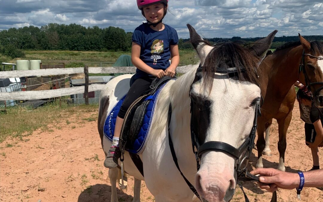 Tierischer Spaß auf dem Bauernhof